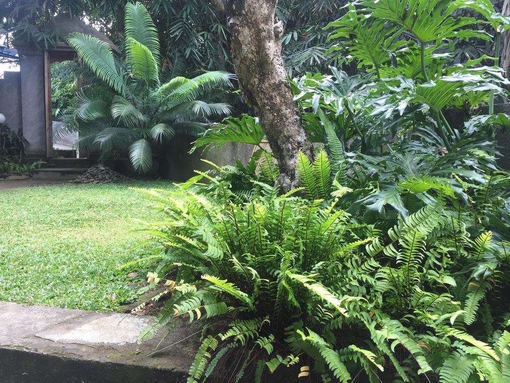 Kiyan Teges Ubud Hotel Buitenkant foto